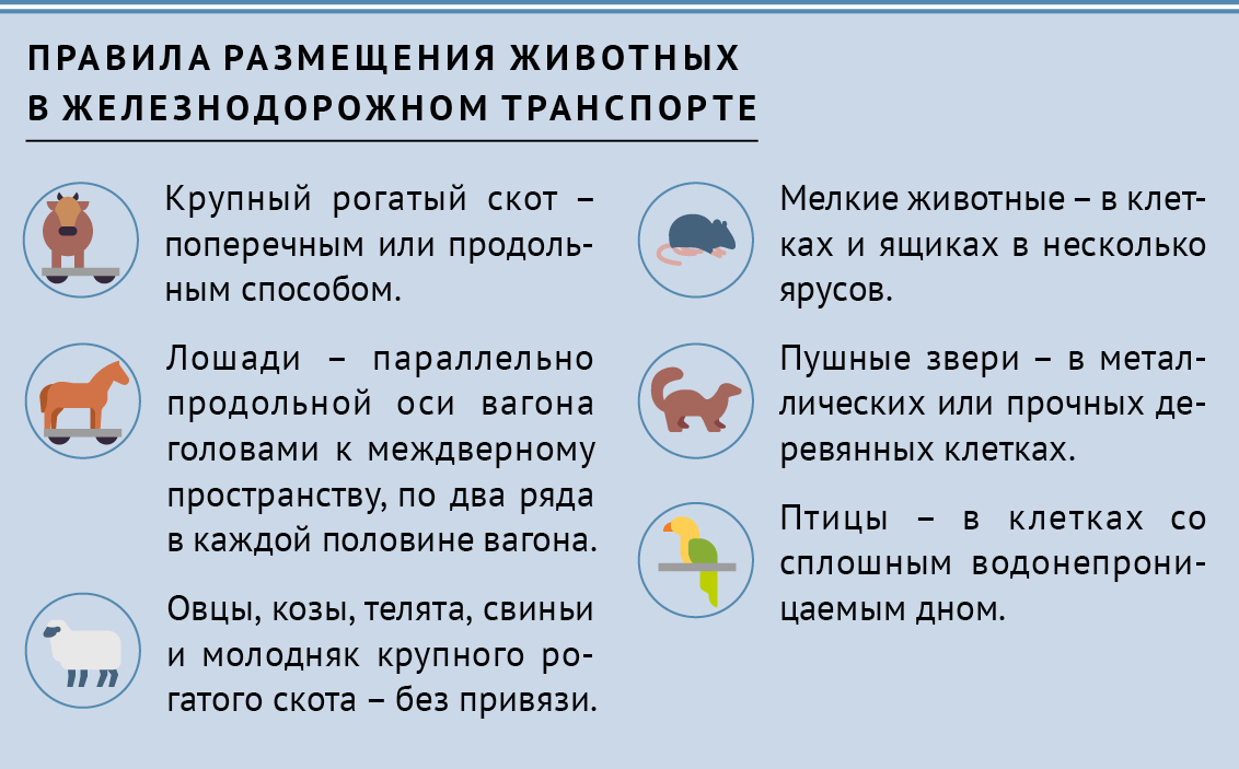 Минтранс определил новые правила перевозки животных по железной дороге |  Ветеринария и жизнь