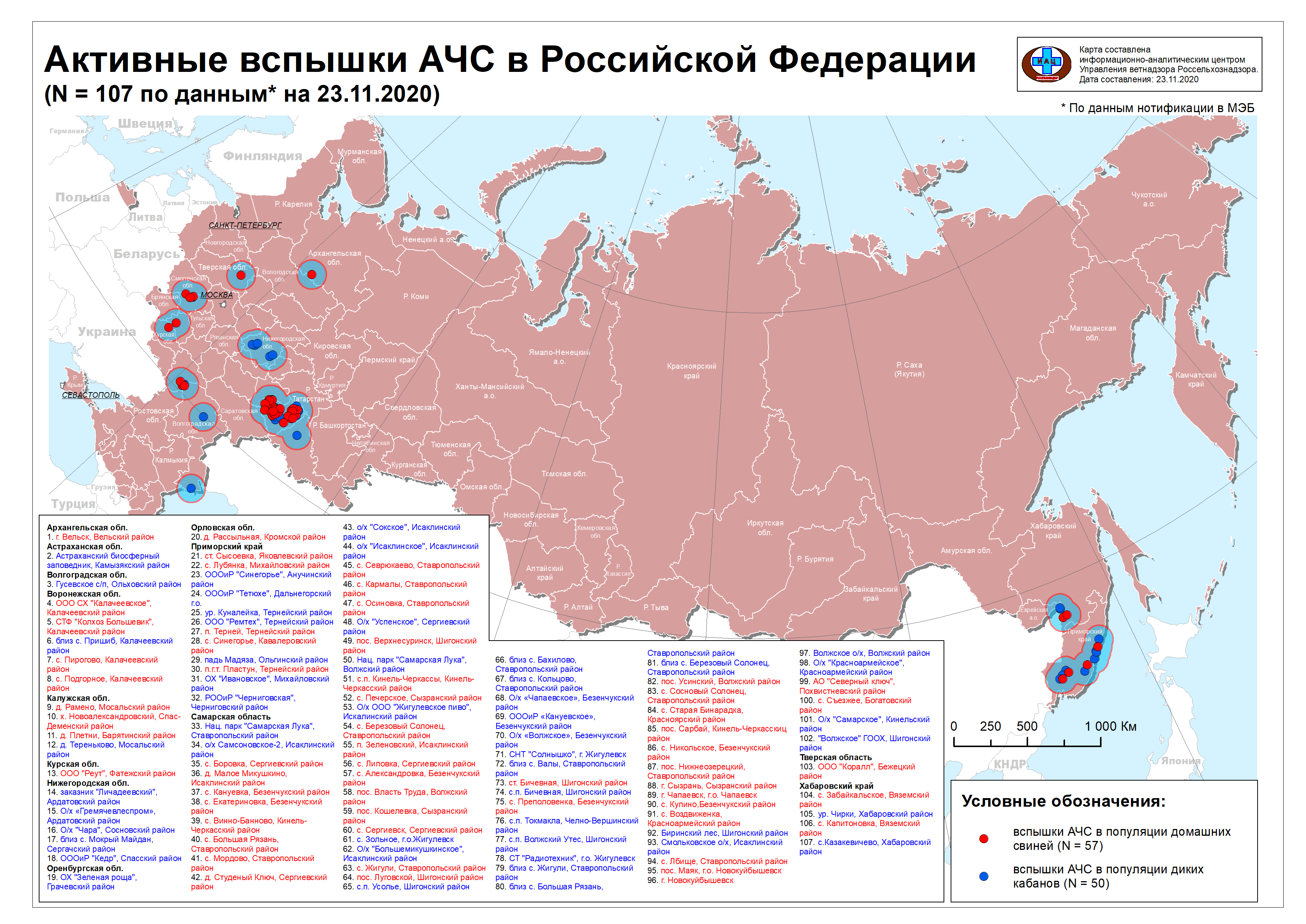 Российские ученые обеспокоены увеличением очагов АЧС в небольших хозяйствах  | Ветеринария и жизнь