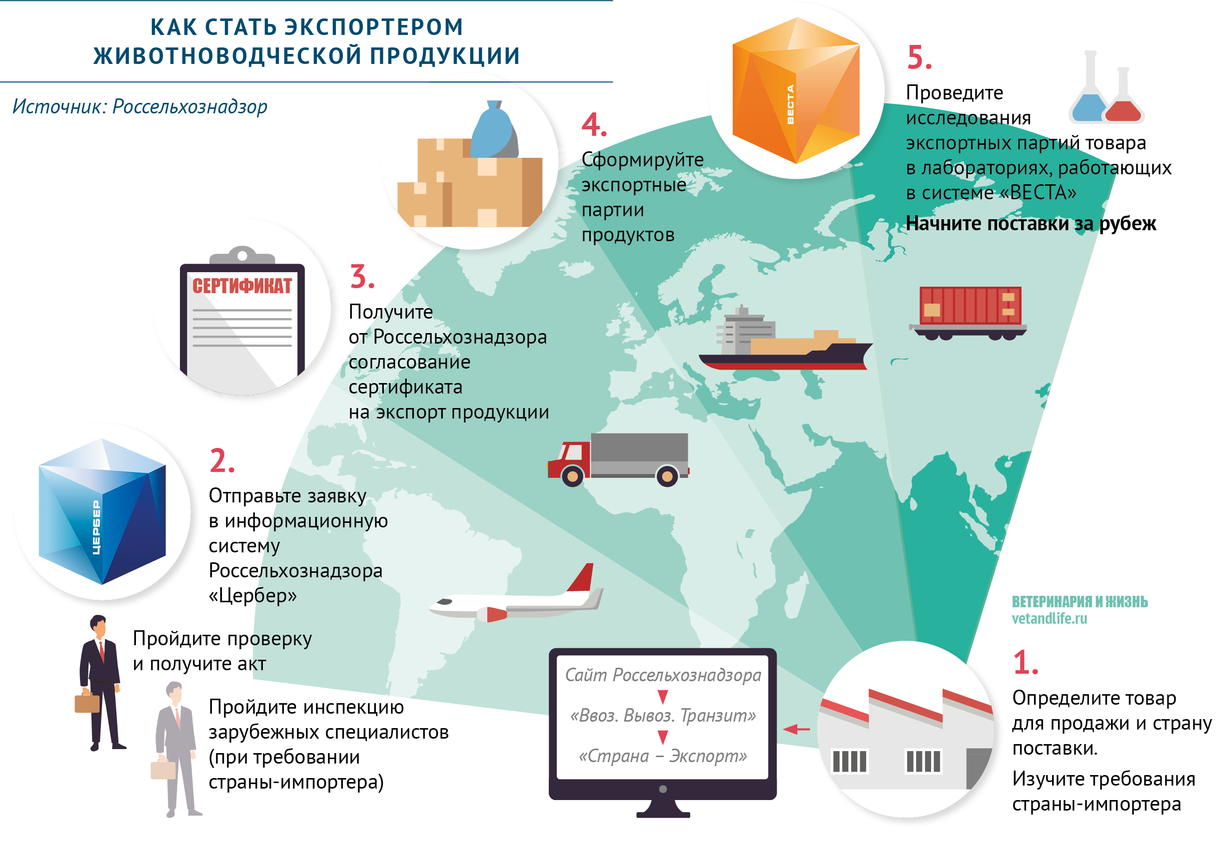 Схема ввоза и вывоза товаров