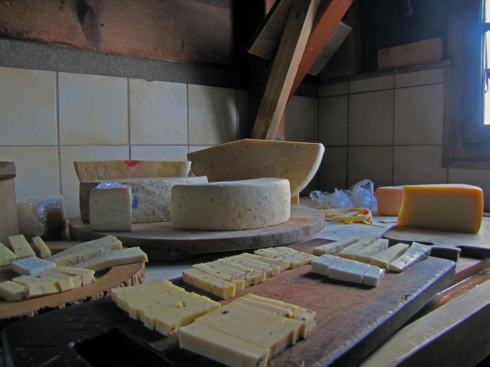 В Краснодарском крае построят новых цех по производству сыров