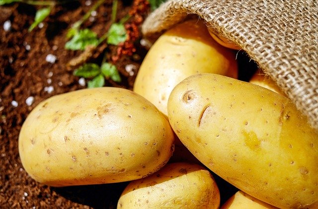 Россия ужесточает контроль за поставками цитрусовых и картофеля из КНР