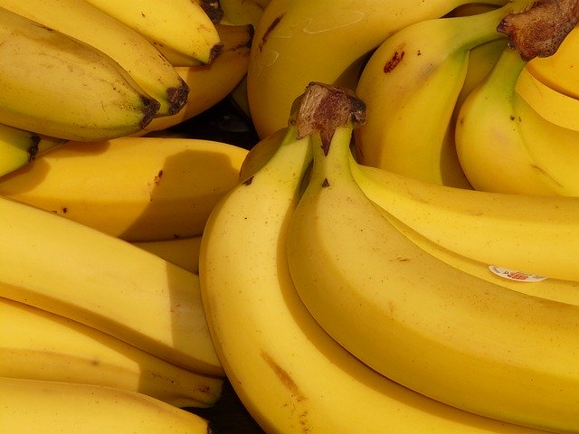 Россия требует от Эквадора реального расследования ситуации с переносчиком холеры в бананах