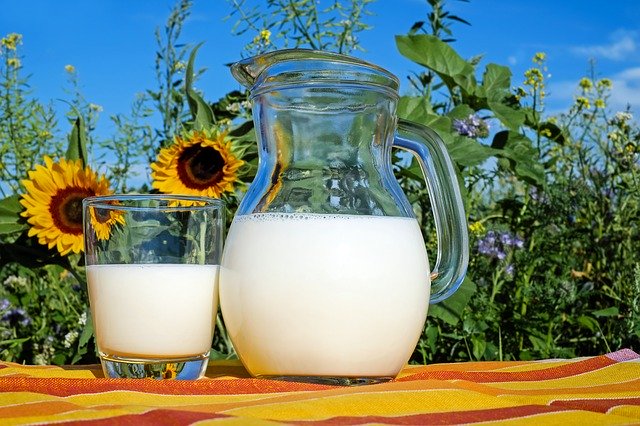В России выросло производство молока