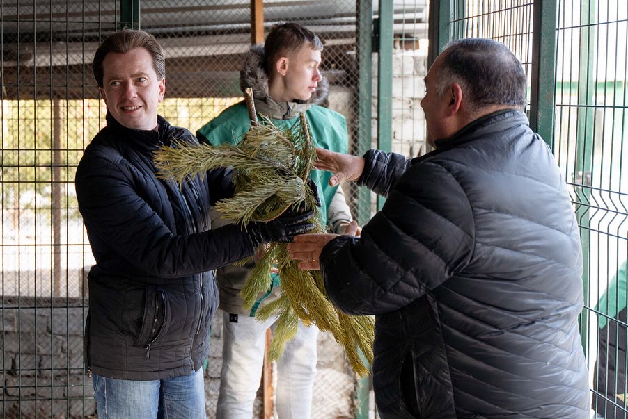 В Госдуме предложили отдать новогодние елки животным