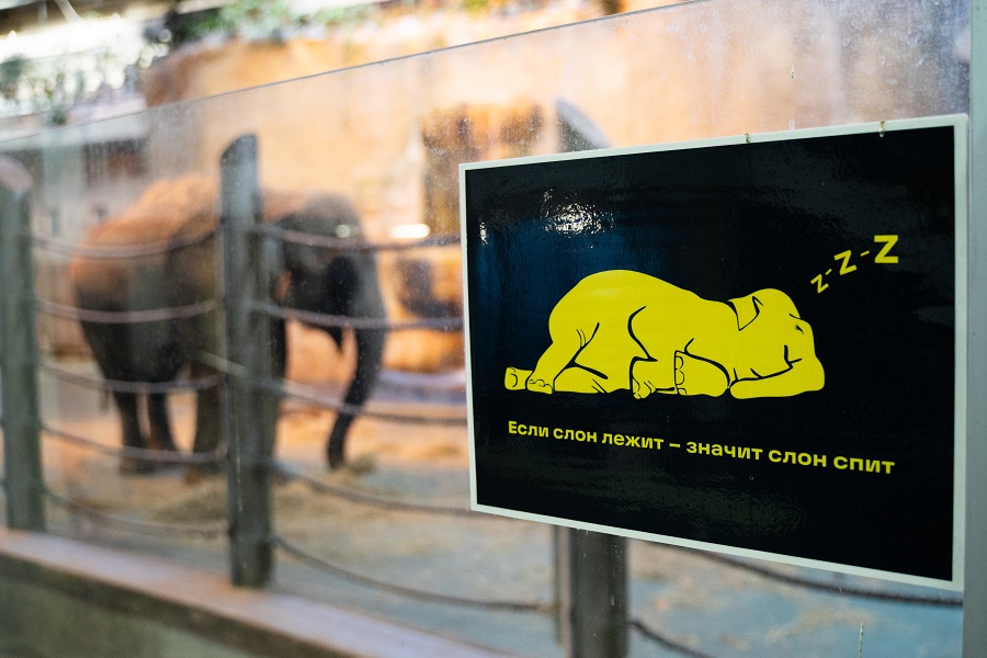 Эксперты «ВиЖ» комментируют требования к содержанию животных в зоопарках