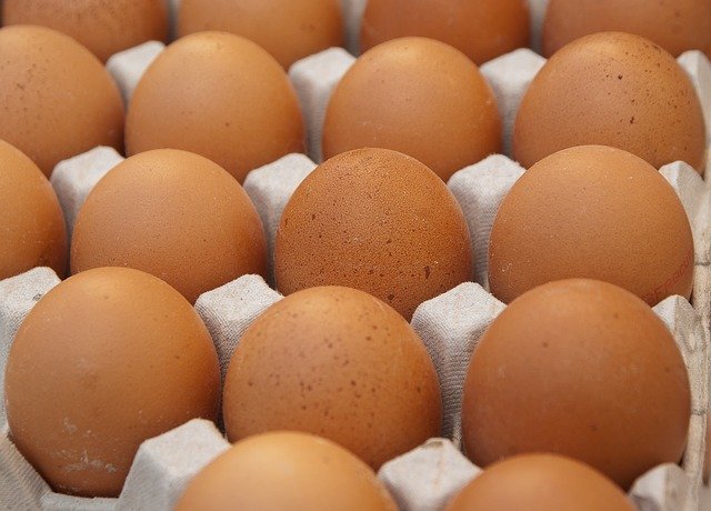 Специалистов приглашают на курсы инновационных технологий производства яиц и мяса птицы