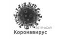 О введении во Владимирской области режима повышенной готовности из-за коронавирусной инфекции (2019-nCoV)