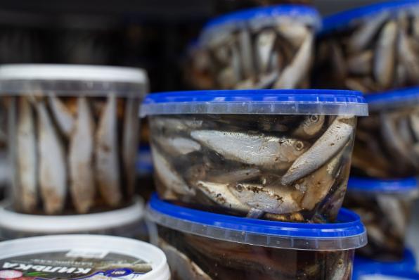 Килька в дагестанском соусе: на Каспии после 20-летнего перерыва возрождается промысел народной рыбы