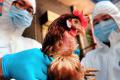 ФГБУ «ВНИИЗЖ» предупреждает об активации «скрытых» факторных инфекционных болезней у птиц в весенний период