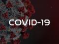 ФГБУ «Федеральный центр охраны здоровья животных» сообщает о возможности проведения исследований на короновирус (COVID-19) у животных