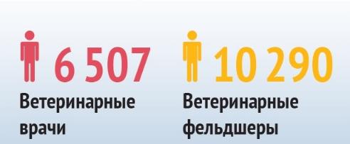 Инфографика «ВиЖ»: сколько ветспециалистов было призвано в армию в годы ВОВ (чел.)