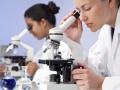 Лаборатория микробиологических исследований приняла участие в межлабораторных сличительных испытаниях