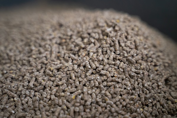 Россия приостанавливает сертификацию кормов из Нидерландов из-за ГМО