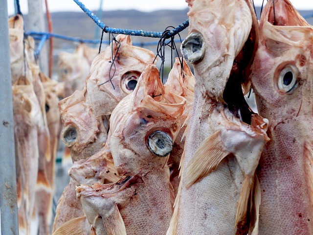 Эксперты WWF советуют отказаться от потребления морского окуня