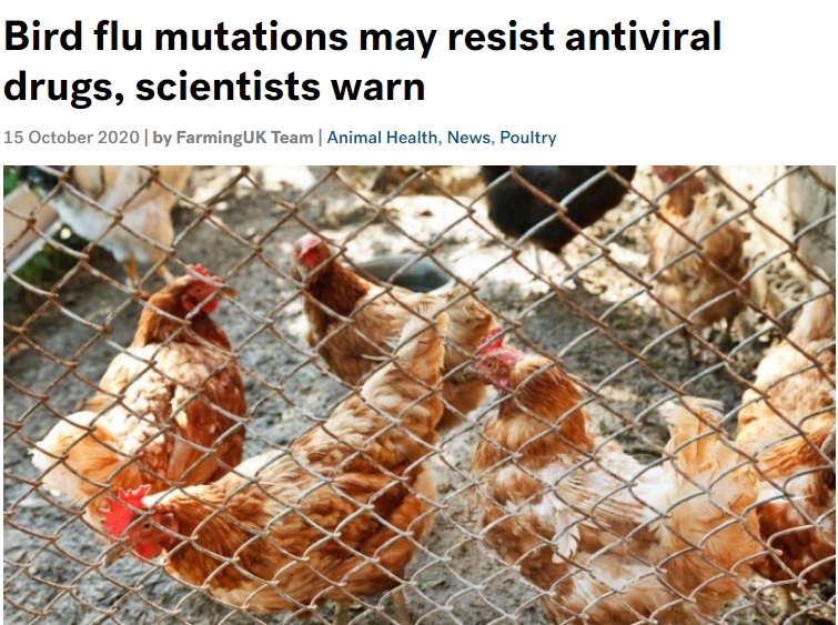 В Институте Пирбрайта предупредили об опасности мутации вируса птичьего гриппа