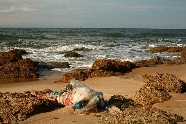 WWF зафиксировал сброс загрязненных вод у берегов Камчатки