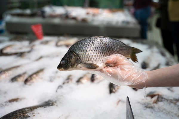 Аналитики отмечают снижение экспорта российской рыбы