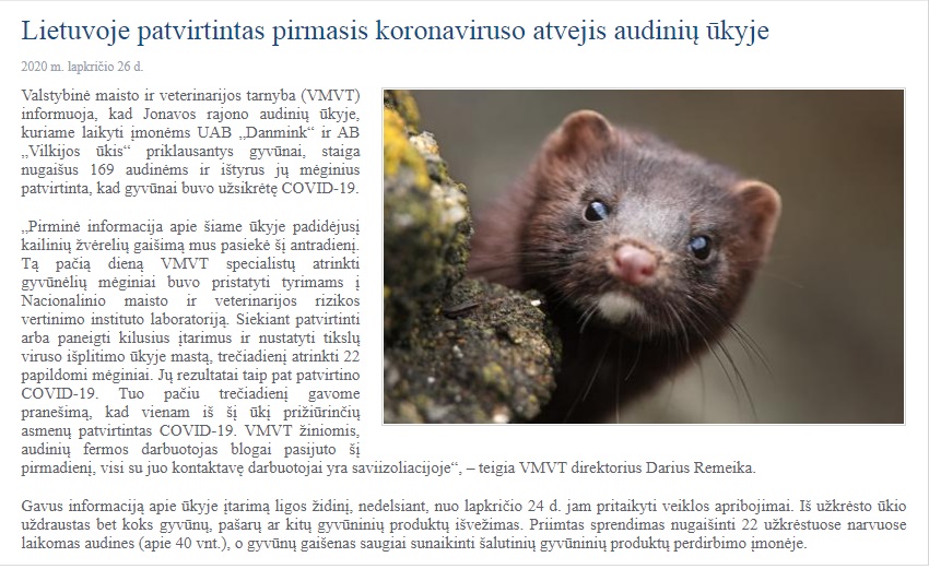 Литва сообщила о заражении норок новым коронавирусом