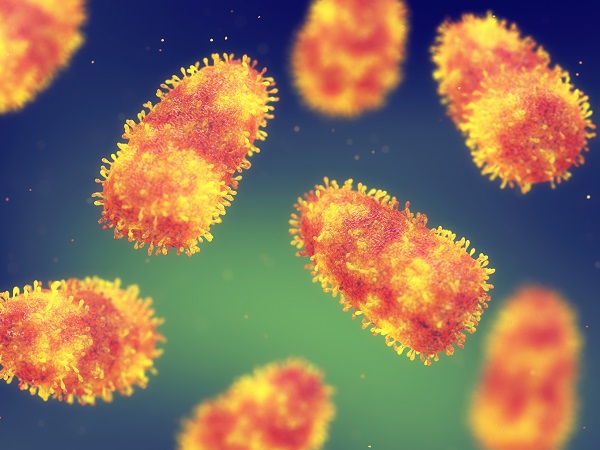 ВОЗ предупредила о риске передачи коронавируса от норки к человеку
