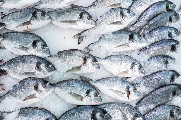 Минсельхоз предлагает снизить план по экспорту рыбы