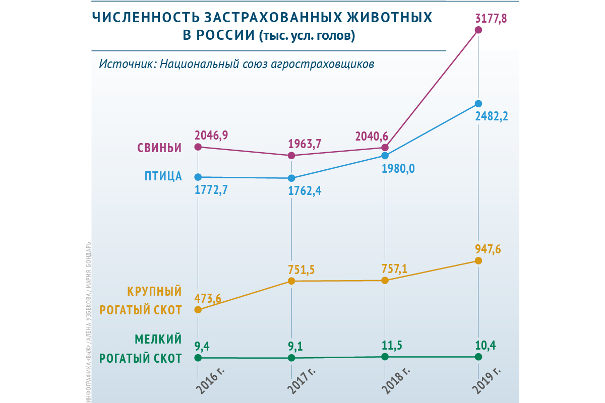 Сколько в России застраховано сельхозживотных