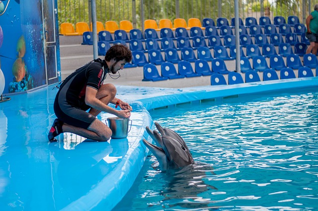 Зоозащитники выступили против строительства дельфинария в Санкт-Петербурге