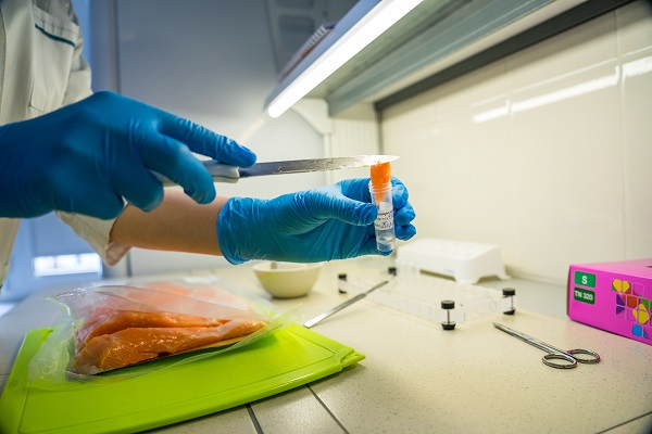 Центр безопасности рыбопродукции не обнаружил ДНК лосося в икорной продукции