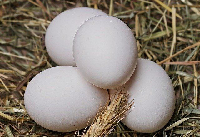 Росстат: цены на куриные яйца в России выросли на 14,2% с начала года