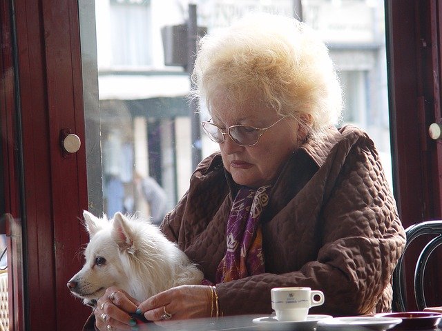 В России хотят ввести правила посещения кафе и магазинов с животными