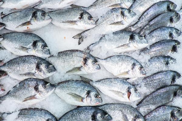 Россельхознадзор уточнит новые требования Китая к поставкам рыбной продукции