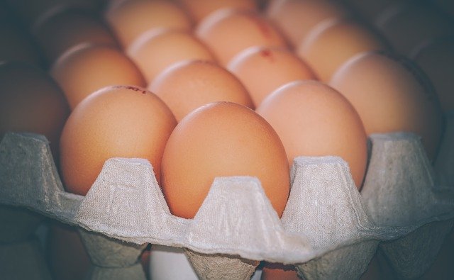 Росптицесоюз дал прогноз по восстановлению объемов производства яиц