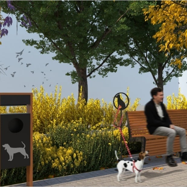 В Ростове-на-Дону обустроят пешеходную зону с парковкой для собак