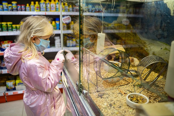 Законопроект о продаже животных в зоомагазинах Госдума рассмотрит осенью