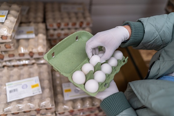 Россельхознадзор приостановил ввоз цыплят и яиц из региона Бельгии из-за гриппа птиц