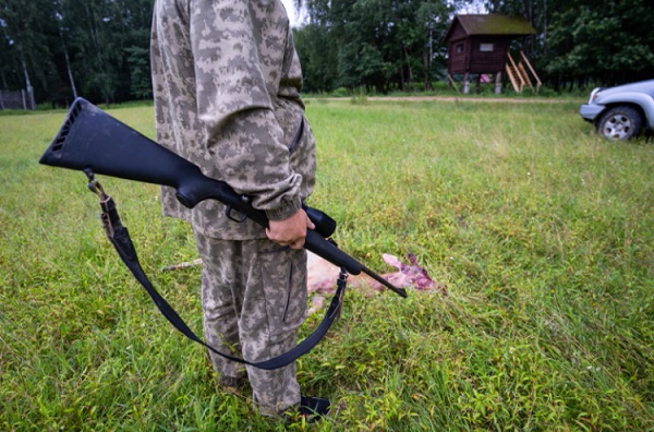 Минприроды предложило изменить правила охоты в России