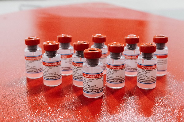 Россельхознадзор сообщил о подготовке досье на регистрацию вакцины «Карнивак-Ков» за рубежом