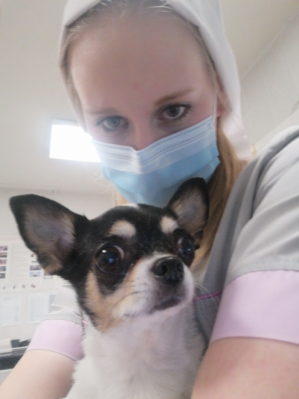 Дарья Орлова, Санкт-Петербургская городская ветеринарная станция по борьбе с болезнями животных
