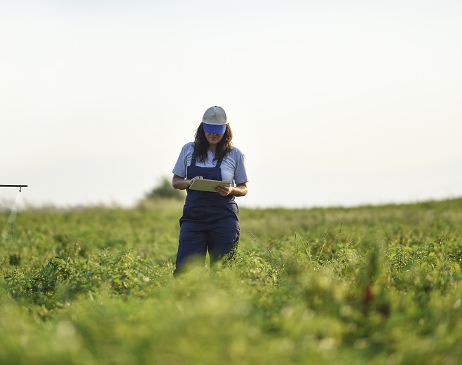 В России появилась первая деловая соцсеть для фермеров
