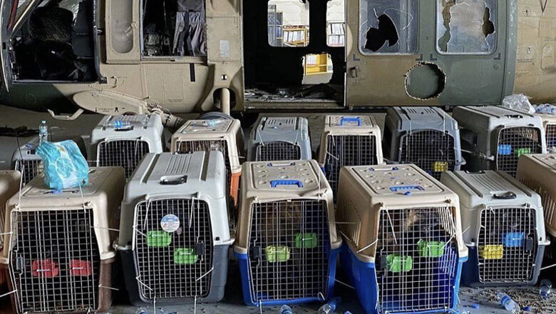 Американские военные бросили в Афганистане десятки служебных собак