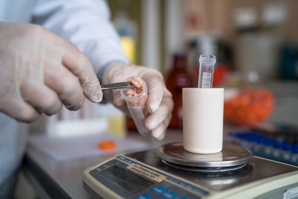 Российские ученые разработали питание из свинины для восстановления больных после инсульта