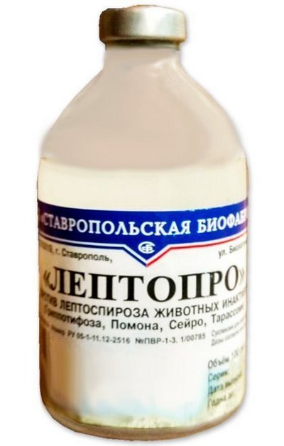 В Псковской области Россельхознадзор выявил некачественную вакцину от лептоспироза