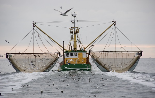 Минпромторг предложил отменить НДС на ремонт рыболовецких судов