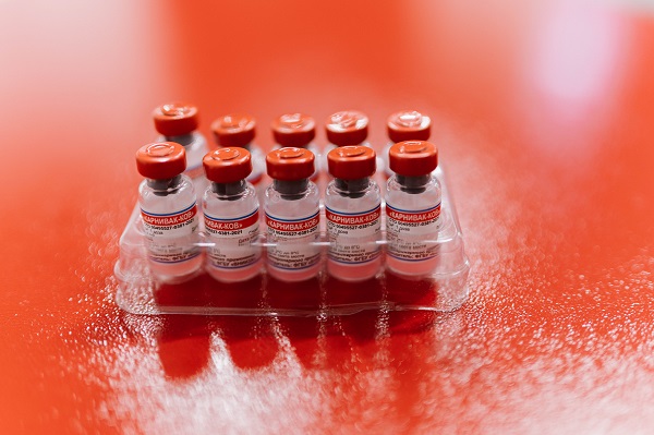 Россельхознадзор сообщил о начале регистрации вакцины «Карнивак-Ков» в Латинской Америке