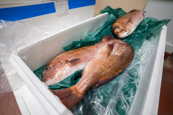Россия сможет нарастить объемы поставок рыбы во Вьетнам
