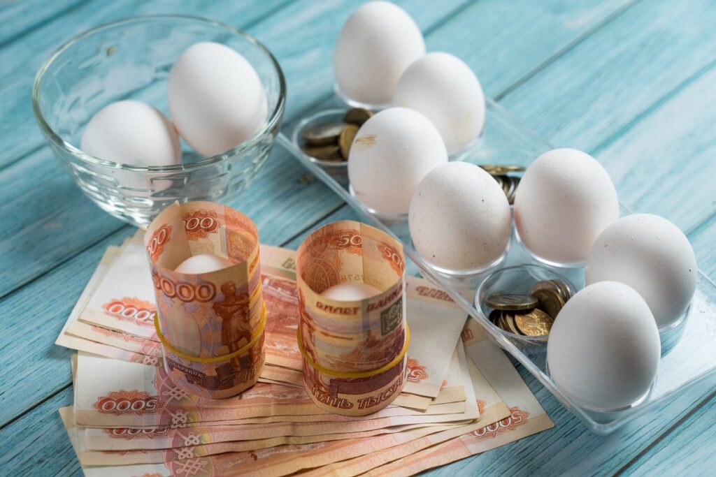 Росстат: цены на яйца в РФ за неделю выросли еще на 2,8%, на мясо кур – на 1,5%