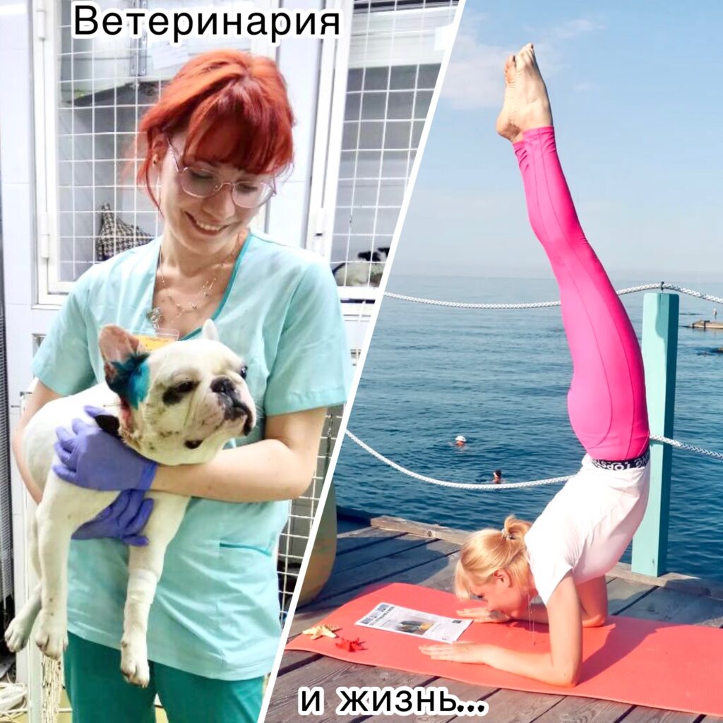 Ксения Кондрашкина, департамент ветеринарной медицины АТИ РУДН