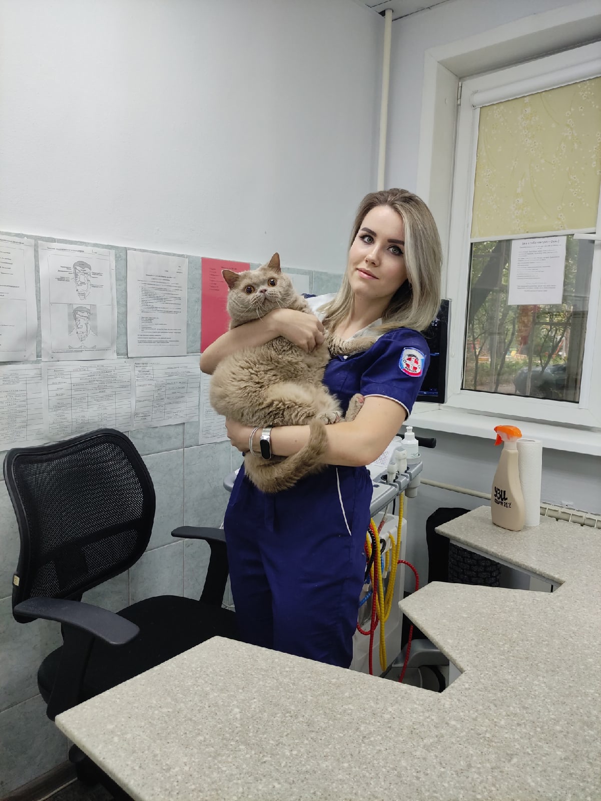 Яна Лебедева, ветеринарная клиника «Алисавет»