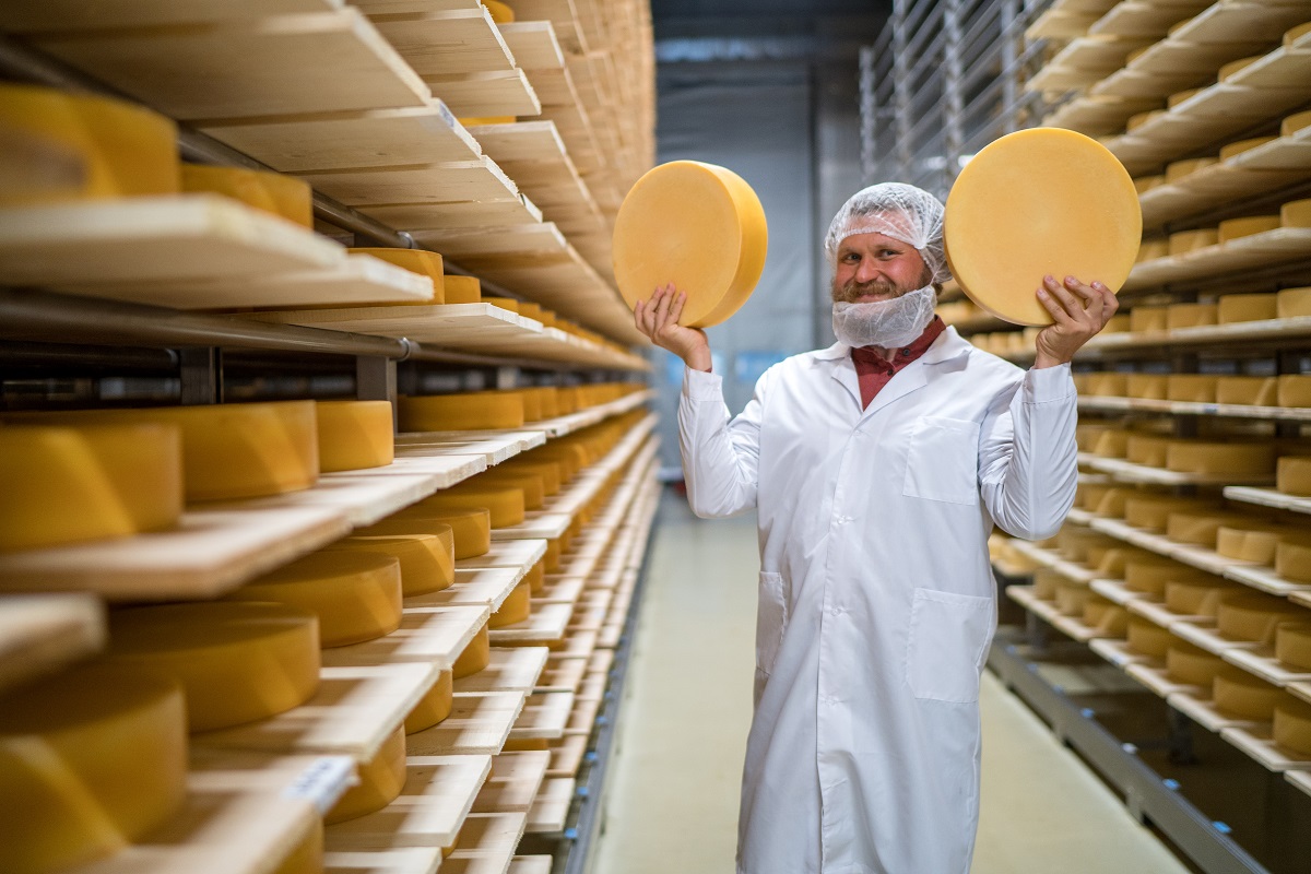 Потребление сыров в России за шесть лет выросло на четверть