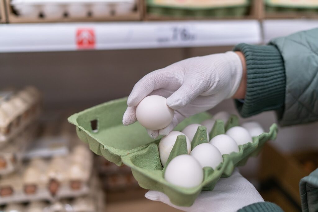 Минсельхоз предложил новые правила ветсанэкспертизы яиц