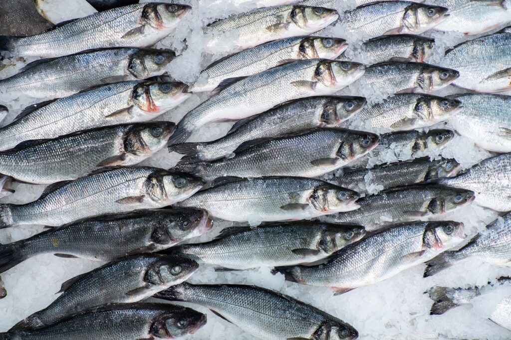 Цены на мороженую рыбу в России продолжили падение